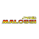 Malossi 166cc Barrel Gasket Set